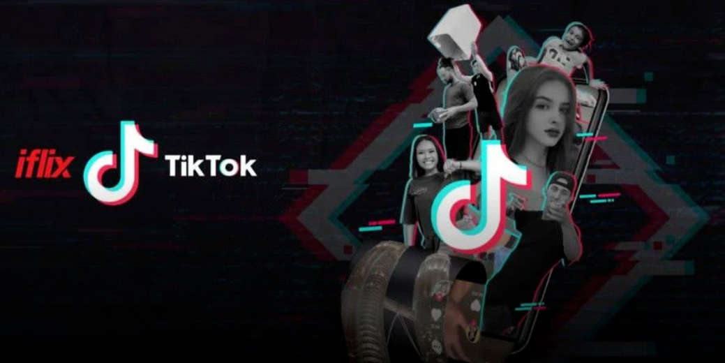 TikTok如何打造垂直类账户：一个成功的垂直类账户的养成