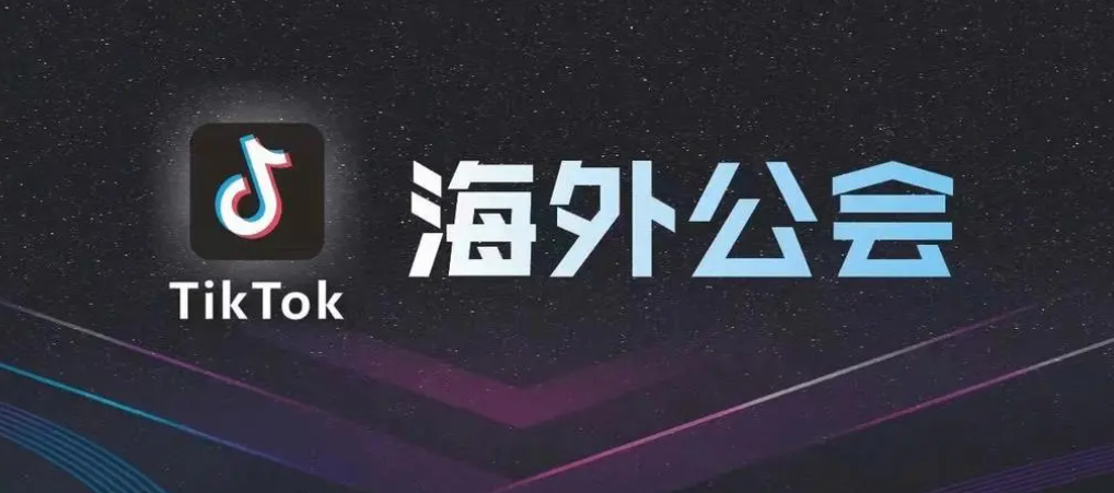 tiktok海外公会入驻指南，新手入驻详细流程解析