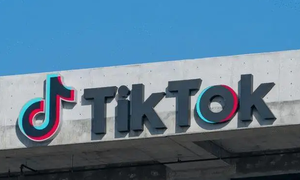 Tiktok运营培训课哪些必学内容？Tiktok新手必学运营技巧