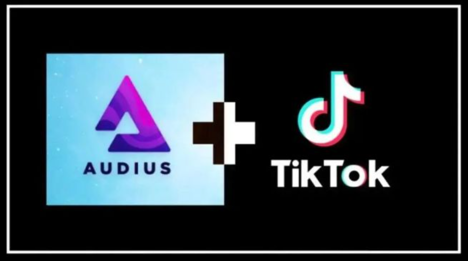 Tiktok无人直播详细教程 手把手教你如何做Tiktok无人直播