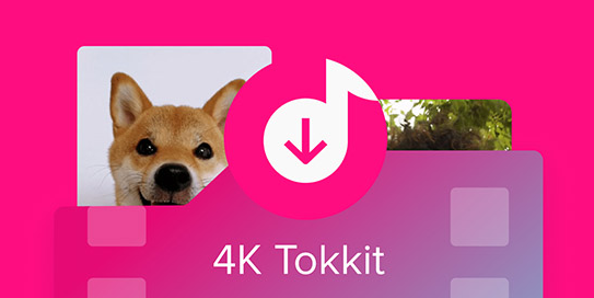 TikTok视频无水印下载工具，手把手教你怎么下载无水印视频