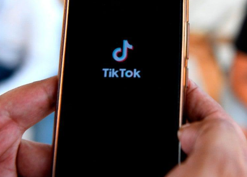 tiktok下载苹果教程（苹果安装图文详解）