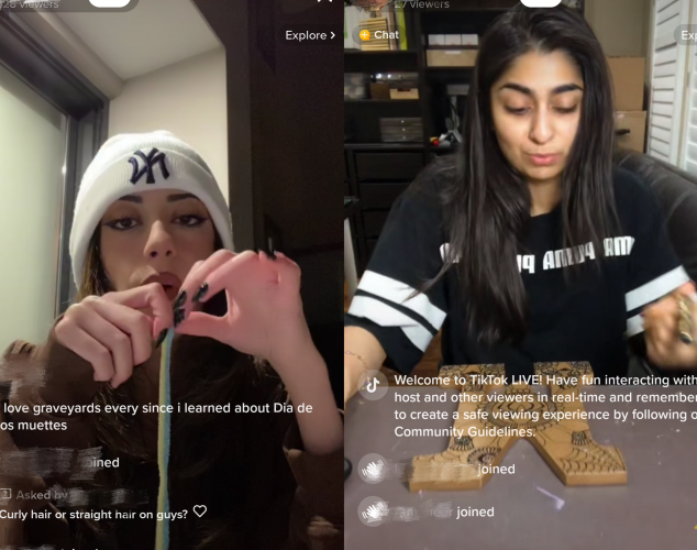 tiktok苹果版怎么登录，tiktok最新国内登录方法ios
