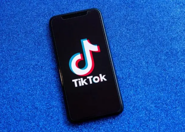 tiktok官网首页入口在哪（网页版刷tiktok方法）