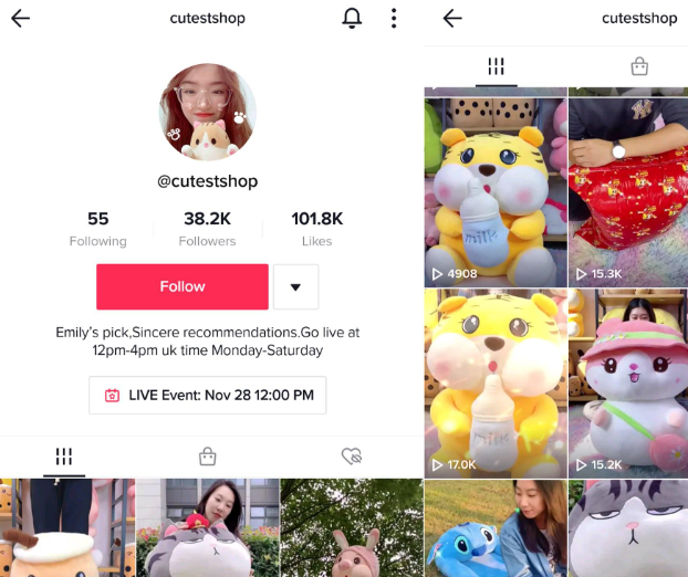 tiktok shop官网入口（tiktoK小店入驻教程）