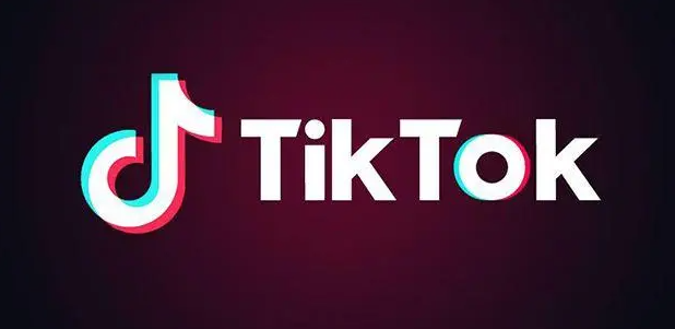 tiktok官方网站入口在线观看（国内tiktok网页版使用方法）