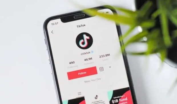 tiktok发布作品有收益吗？tiktok发布什么内容容易火