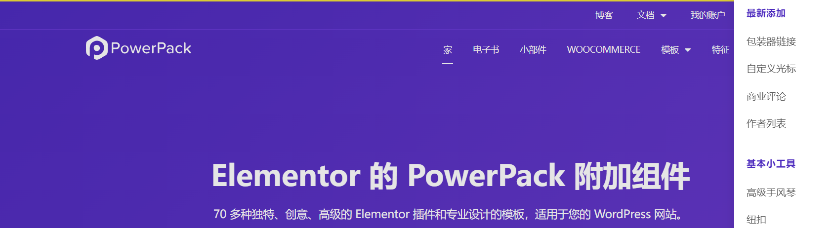 2024072008440611 Elementor 扩展插件 PowerPack Pro for Elementor 使用指南