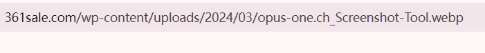2024080710205663 在 WordPress 中使用 WebP 图像的2种方法