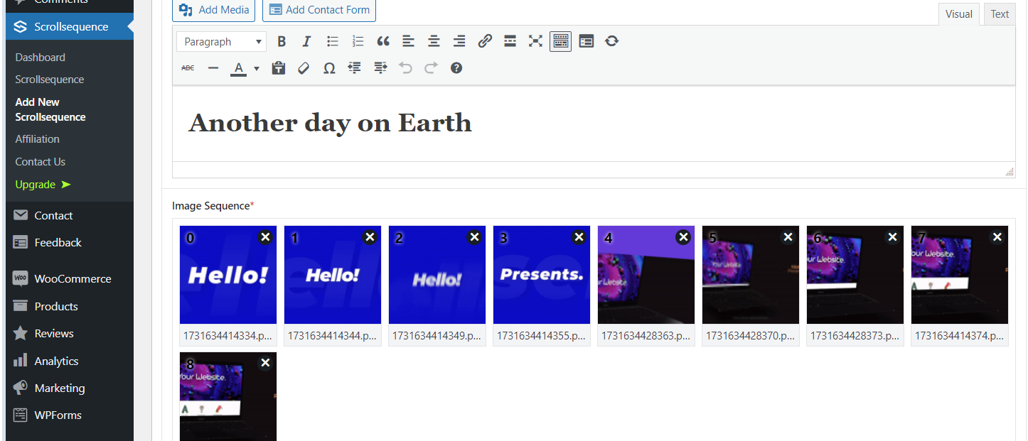 20241115093840352-image
