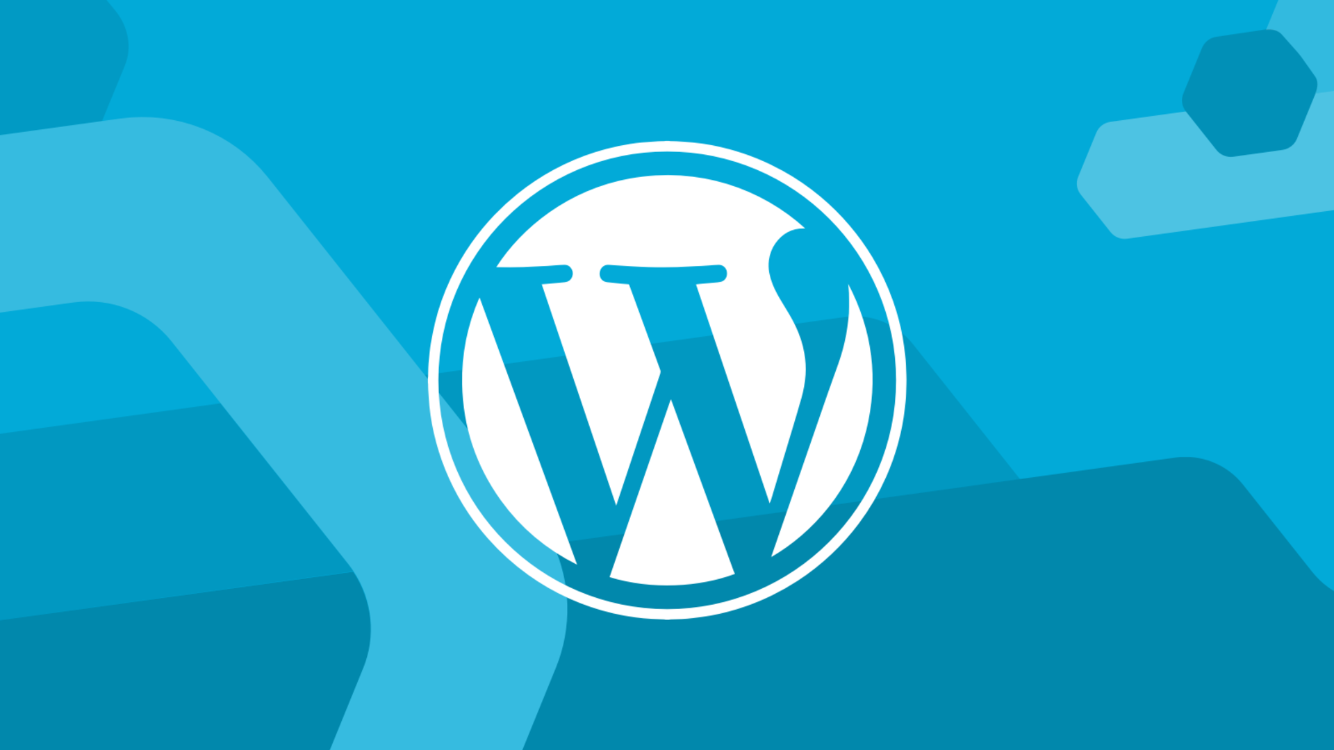 20241205145616818-image 如何修复 WordPress 管理面板中的损坏 CSS