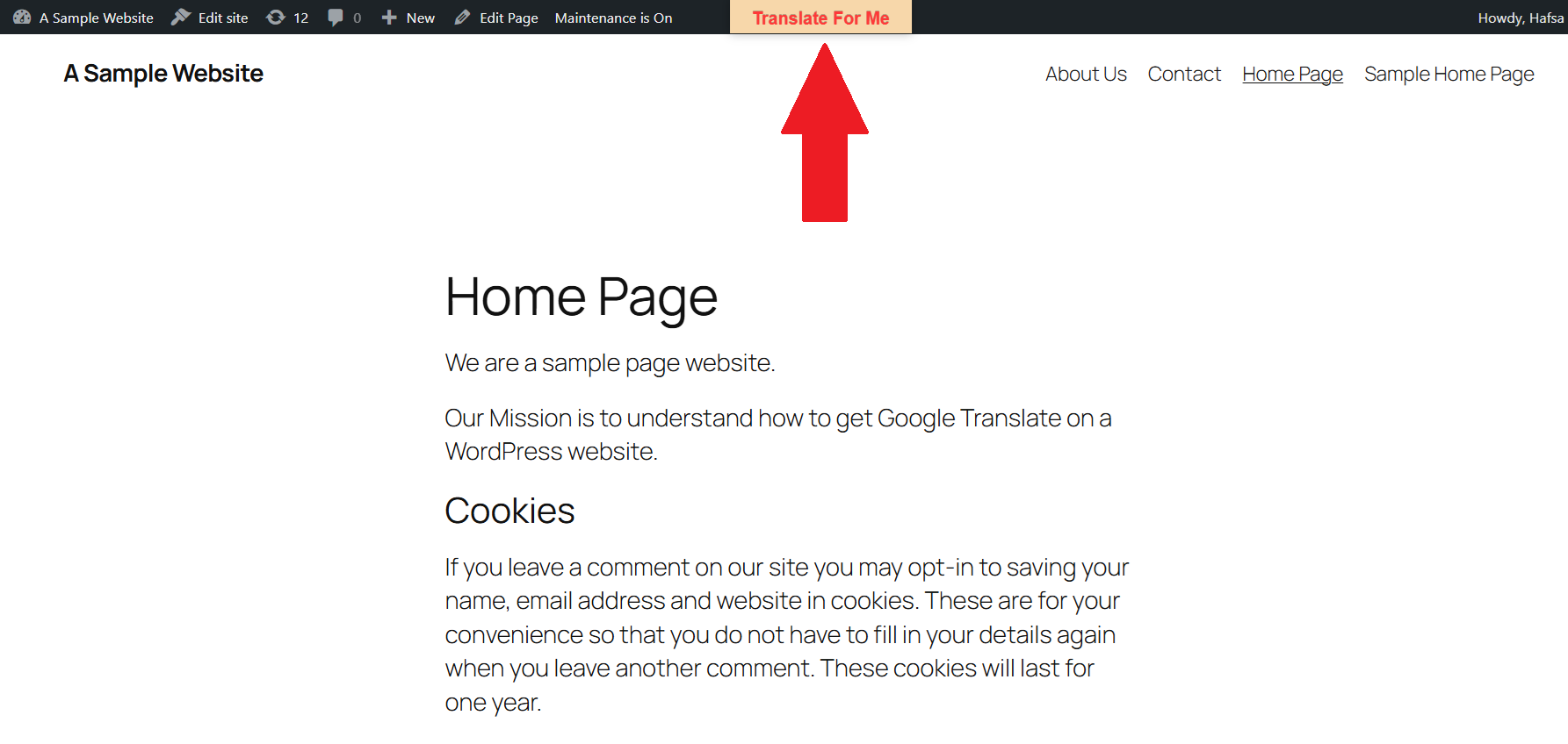 20241212100744822-image 如何将 Google 翻译添加到 WordPress(创建多语言网站)