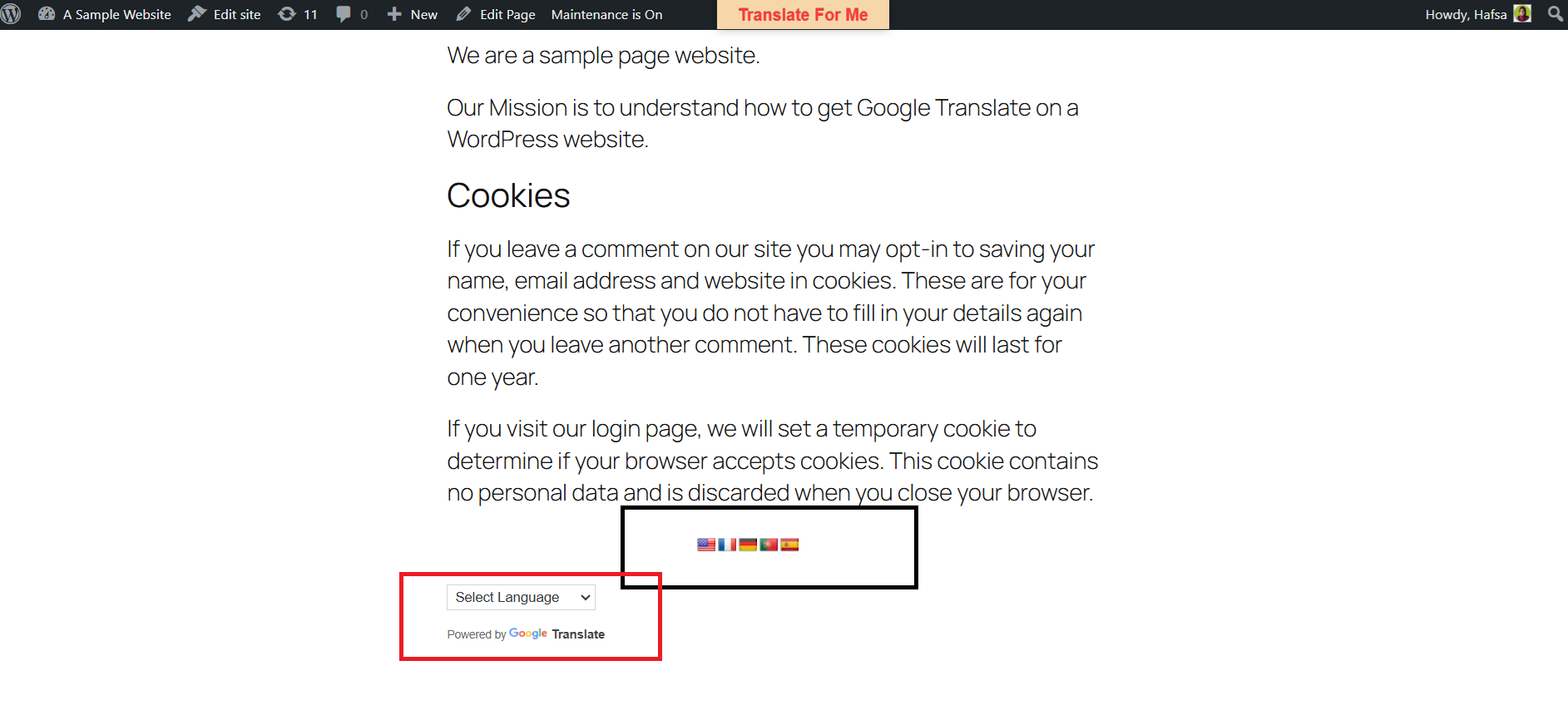 20241212101254856-image 如何将 Google 翻译添加到 WordPress(创建多语言网站)