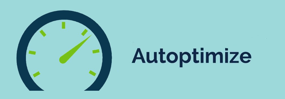 20250226100911466-image 怎样使用 Autoptimize 与 Cloudflare 配合提高网站速度