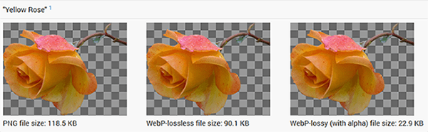 20250310173717495-image 20250310173717495-image