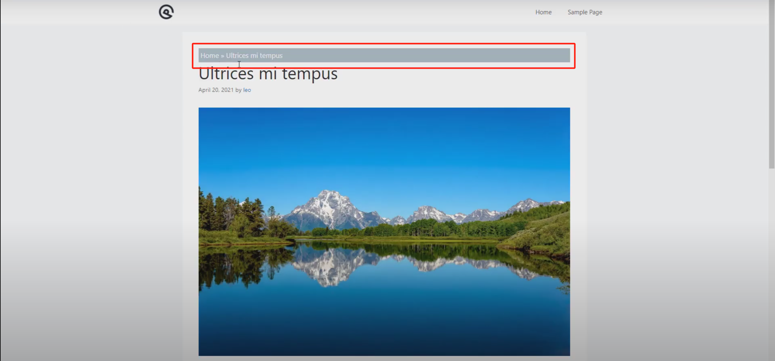 20250516113947704-image 20250516113947704-image