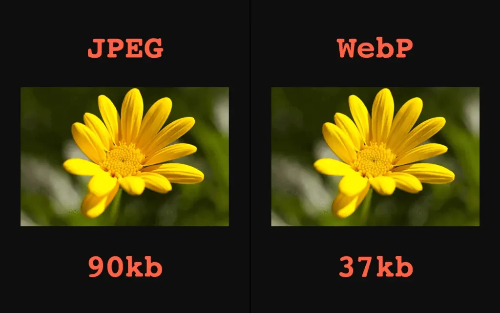 20250909105504221-image 20250909105504221-image