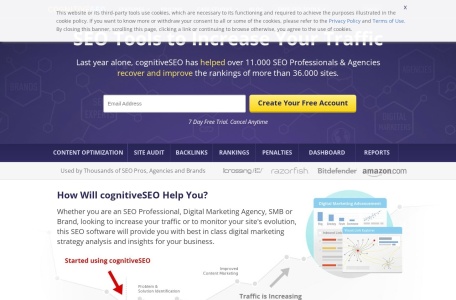 CognitiveSEO