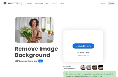 Remove.bg – AI抠图工具