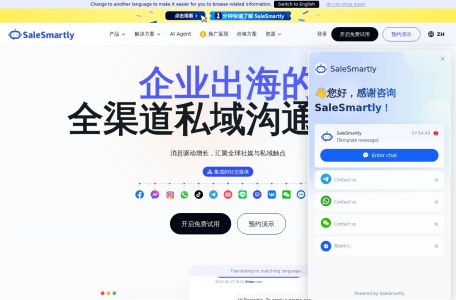 SaleSmartly — 跨境电商AI多语言智能客服与全渠道沟通平台